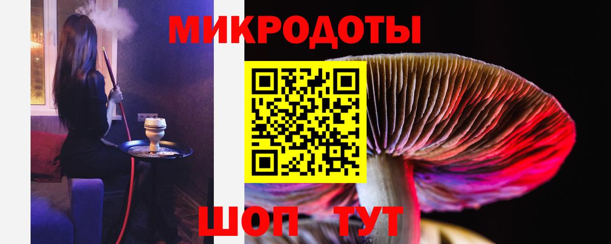 Псилоцибиновые грибы Cubensis Моздок